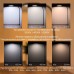 Світильник настільний LED FLEX 10W 3000-6500К білий Violux